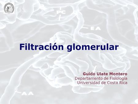 Filtración glomerular