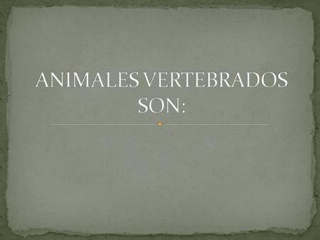 ANIMALES VERTEBRADOS SON: