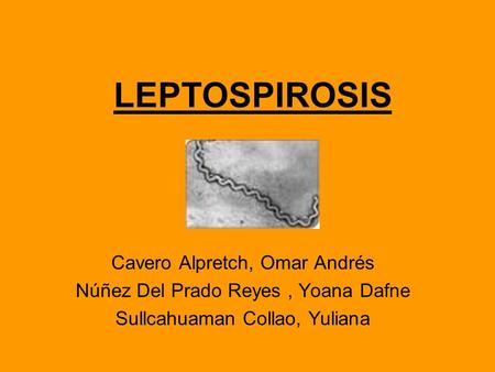 LEPTOSPIROSIS Cavero Alpretch, Omar Andrés
