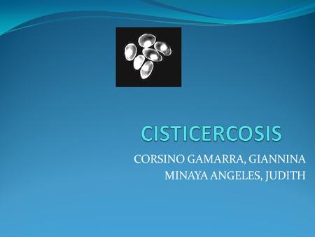 CORSINO GAMARRA, GIANNINA MINAYA ANGELES, JUDITH