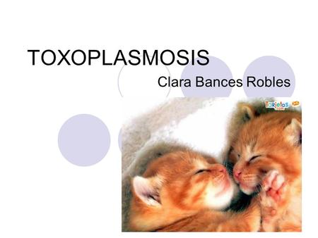 TOXOPLASMOSIS Clara Bances Robles.