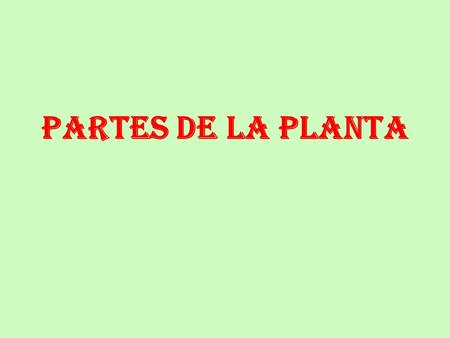 PARTES DE LA PLANTA.