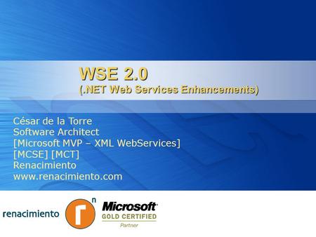 WSE 2.0 (.NET Web Services Enhancements)
