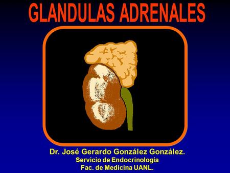 Dr. José Gerardo González González. Servicio de Endocrinología Fac. de Medicina UANL.