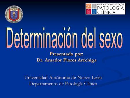 Presentado por: Dr. Amador Flores Aréchiga