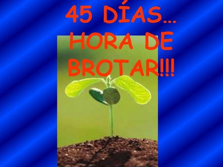 45 DÍAS… HORA DE BROTAR!!!.