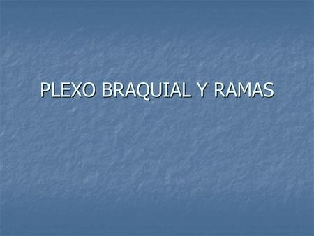 PLEXO BRAQUIAL Y RAMAS.