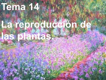 Tema 14 La reproducción de las plantas..