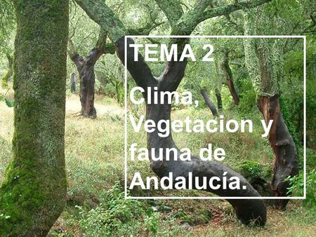 TEMA 2 Clima, Vegetacion y fauna de Andalucía..