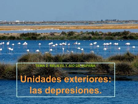 TEMA 2. RELIEVE Y RÍO DE ESPAÑA. Unidades exteriores: las depresiones.