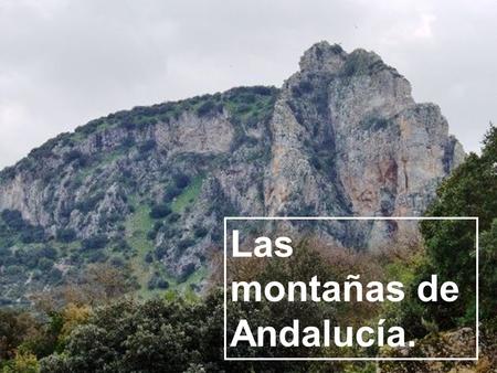 Las montañas de Andalucía.
