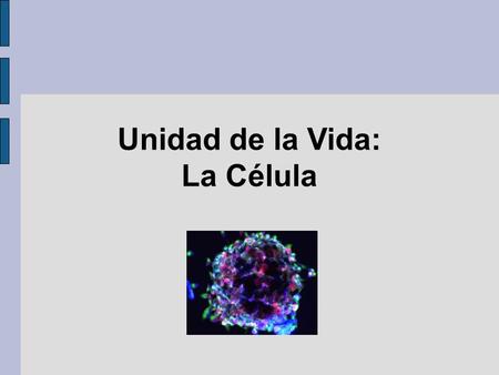 Unidad de la Vida: La Célula. Desarrollo Histórico En 1665, Robert Hooke, propuso el término de célula donde observó en un corcho, tejido vegetal. En.