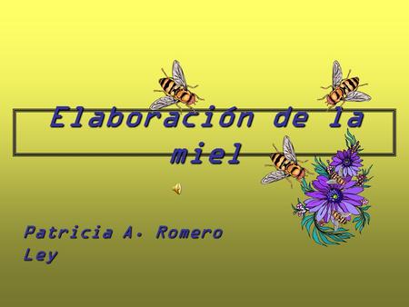 Elaboración de la miel Patricia A. Romero Ley.