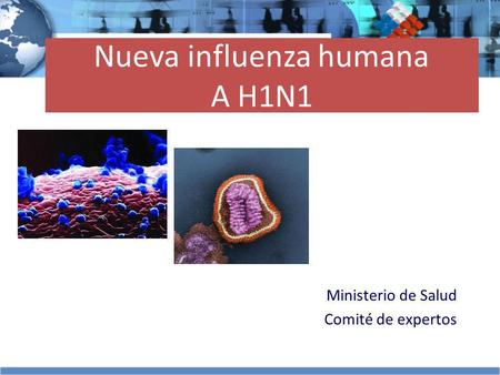 Nueva influenza humana A H1N1