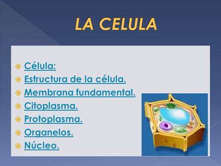 LA CELULA Célula: Estructura de la célula. Membrana fundamental.