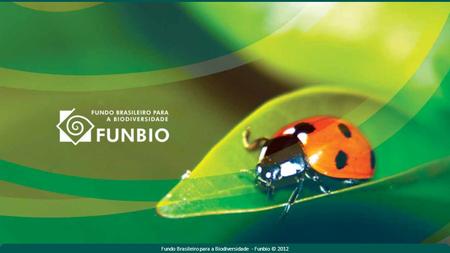 Fundo Brasileiro para a Biodiversidade - Funbio © 2012.