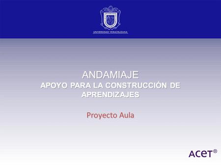 ANDAMIAJE APOYO PARA LA CONSTRUCCIÓN DE APRENDIZAJES