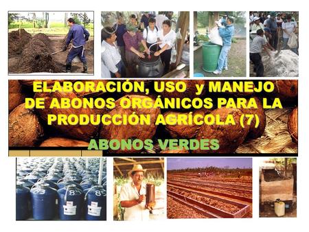 ELABORACIÓN, USO y MANEJO DE ABONOS ORGÁNICOS PARA LA PRODUCCIÓN AGRÍCOLA (7) ABONOS VERDES.