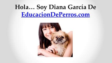 Hola… Soy Diana García De EducacionDePerros.com