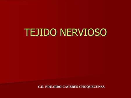 TEJIDO NERVIOSO C.D. EDUARDO CÁCERES CHOQUECUNSA.