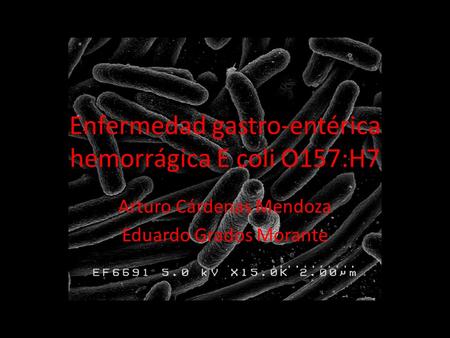 Enfermedad gastro-entérica hemorrágica E coli O157:H7