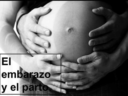 El embarazo y el parto..