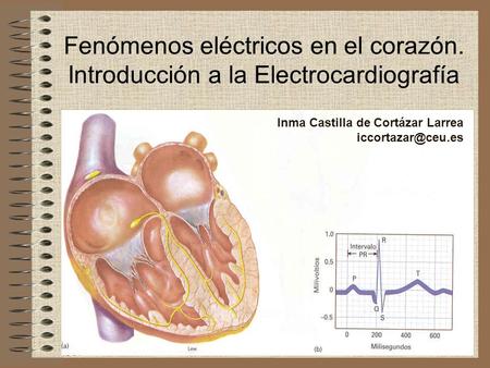 Fenómenos eléctricos en el corazón