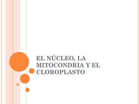EL NÚCLEO, LA MITOCONDRIA Y EL CLOROPLASTO