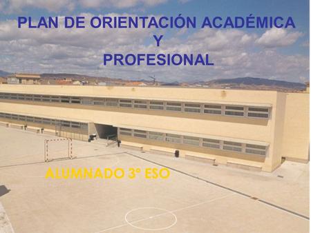 PLAN DE ORIENTACIÓN ACADÉMICA