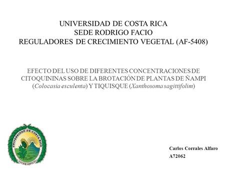 UNIVERSIDAD DE COSTA RICA SEDE RODRIGO FACIO REGULADORES DE CRECIMIENTO VEGETAL (AF-5408) EFECTO DEL USO DE DIFERENTES CONCENTRACIONES DE CITOQUININAS.