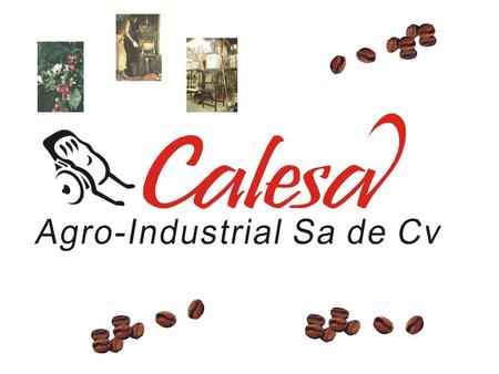 La Empresa CALESA® Agro-Industrial Sa de Cv es creada en el año 2000, montando una planta tostadora de café con la tecnología mas avanzada en el.