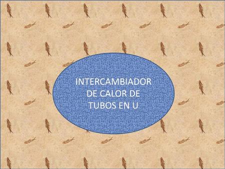 INTERCAMBIADOR DE CALOR DE TUBOS EN U