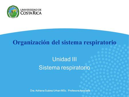 Organización del sistema respiratorio