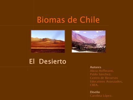 Biomas de Chile El Desierto Autores Alicia Hoffmann. Pablo Sánchez.