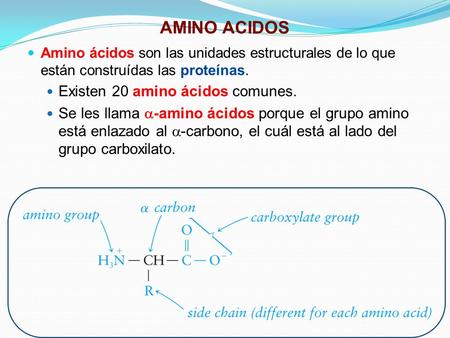 AMINO ACIDOS Existen 20 amino ácidos comunes.
