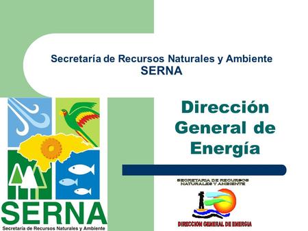 Secretaría de Recursos Naturales y Ambiente SERNA