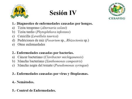 Sesión IV 1.- Diagnostico de enfermedades causadas por hongos.