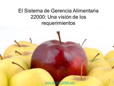El Sistema de Gerencia Alimentaria 22000: Una visión de los requerimientos www.Norma-22000.com.