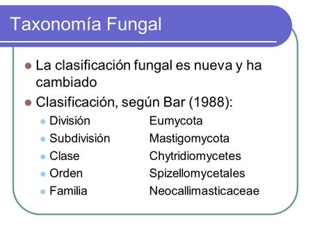Taxonomía Fungal La clasificación fungal es nueva y ha cambiado