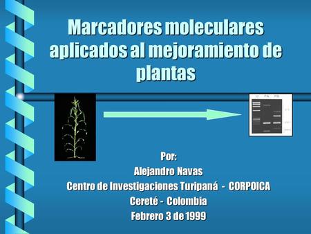 Marcadores moleculares aplicados al mejoramiento de plantas