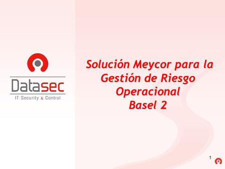 Solución Meycor para la Gestión de Riesgo Operacional Basel 2