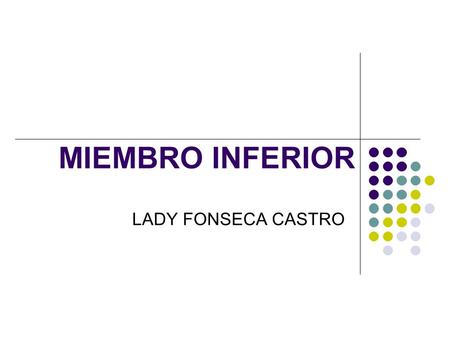 MIEMBRO INFERIOR LADY FONSECA CASTRO.