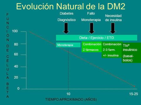 Evolución Natural de la DM2