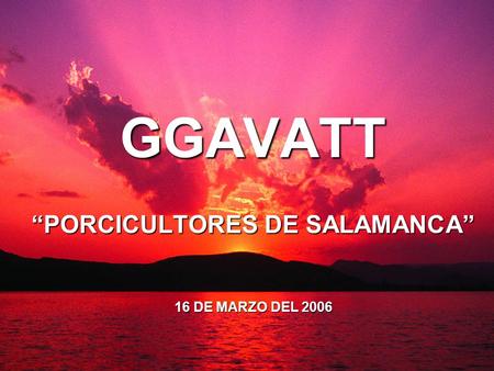 GGAVATT PORCICULTORES DE SALAMANCA 16 DE MARZO DEL 2006.