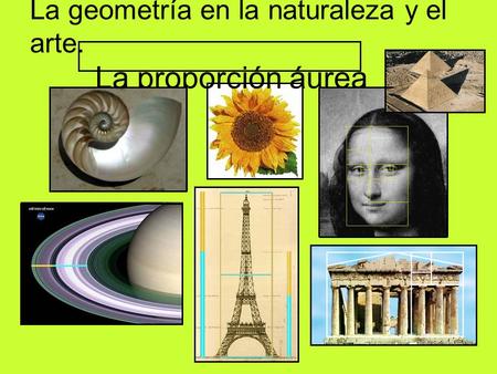 La geometría en la naturaleza y el arte. La proporción áurea