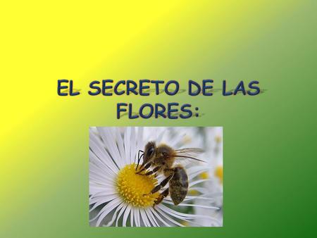 EL SECRETO DE LAS FLORES: