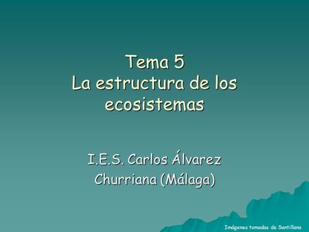 Tema 5 La estructura de los ecosistemas