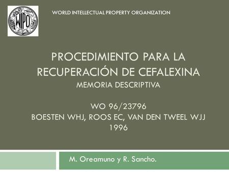 WORLD INTELLECTUAL PROPERTY ORGANIZATION