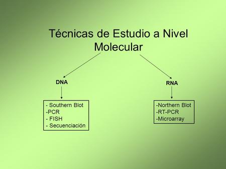 Técnicas de Estudio a Nivel Molecular