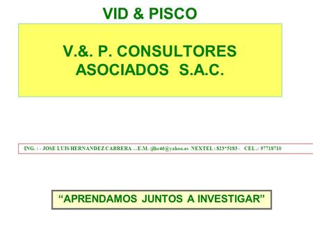 VID & PISCO V.&. P. CONSULTORES ASOCIADOS S.A.C.